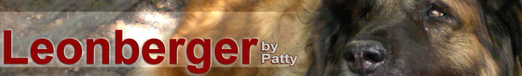 Leonberger by Patty
