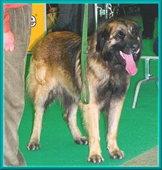 Germanicus Batzimatt