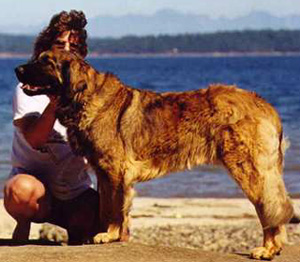 Skeena